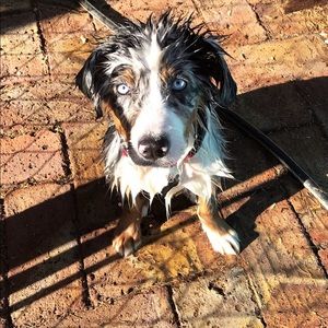 Meet your Posher, Kim